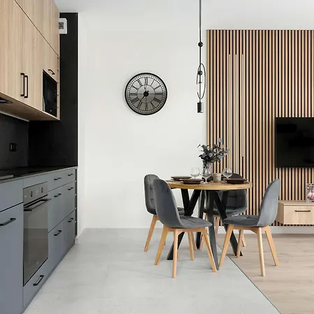 Appartement Spacious With Parking And Air Conditioning By Renters