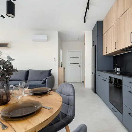 Spacious With Parking And Air Conditioning By Renters Cracovie